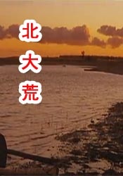 91蝌蚪九色